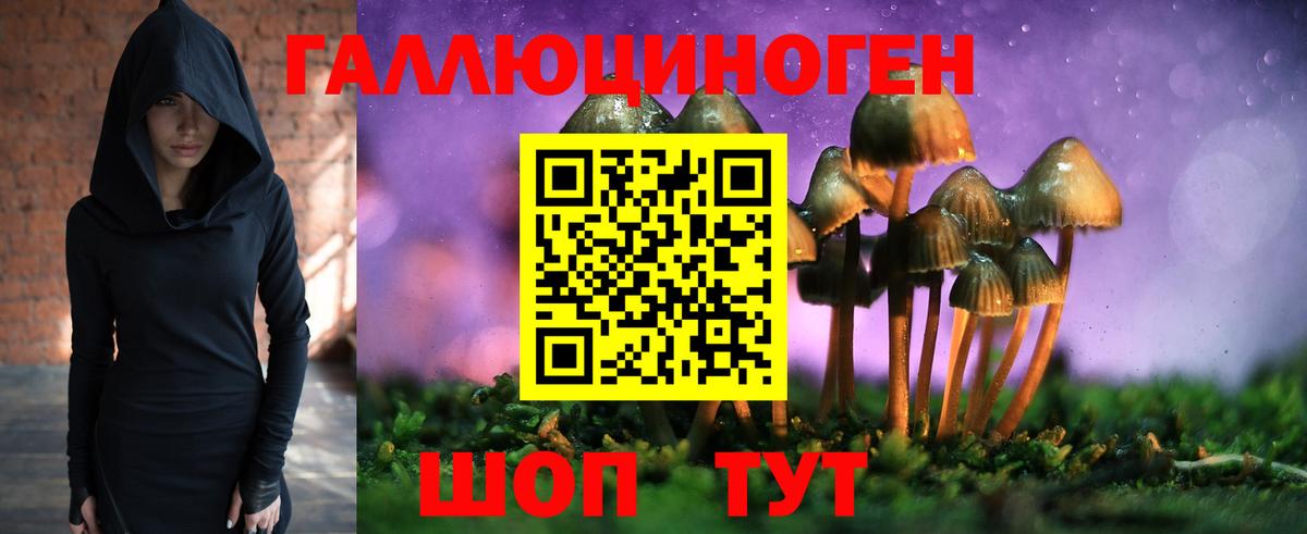 Псилоцибиновые грибы прущие грибы  Вход с VPN  Галлюциногенные грибы Cubensis  Губаха 